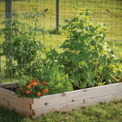 Cedar Raised Garden Bed – 3' X 6'