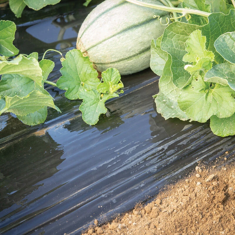 Smooth Black Mulch β 4' X 50'