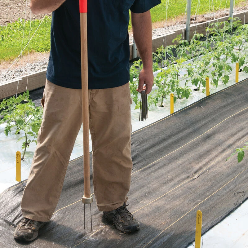 Staple Setterâ„¢