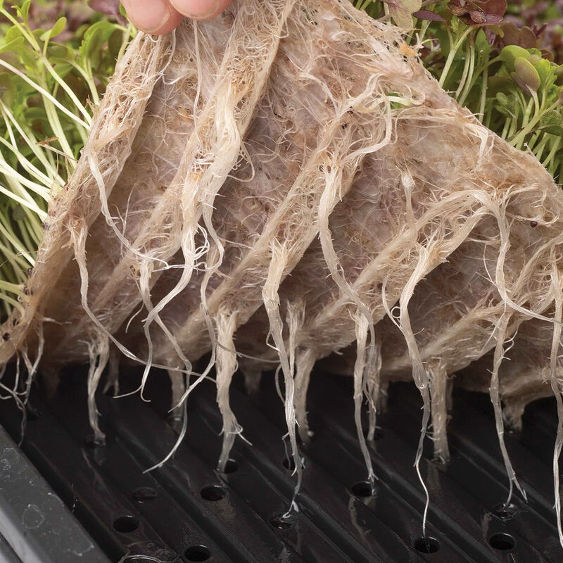 Terrafibre Hemp Grow Mats, 10" X 20" β 140 Count - Image 3