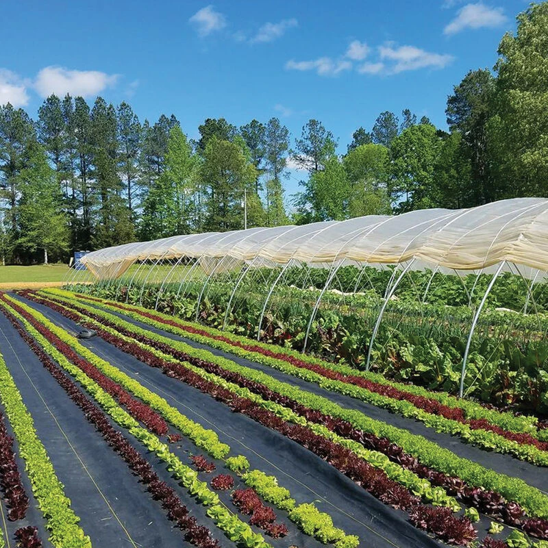 Sunbelt Black Ground Cover – 3' X 300'