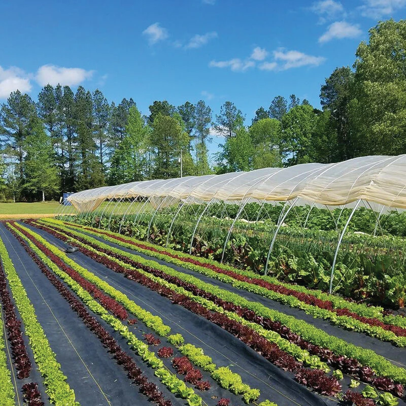 Sunbelt Black Ground Cover – 3' X 100'