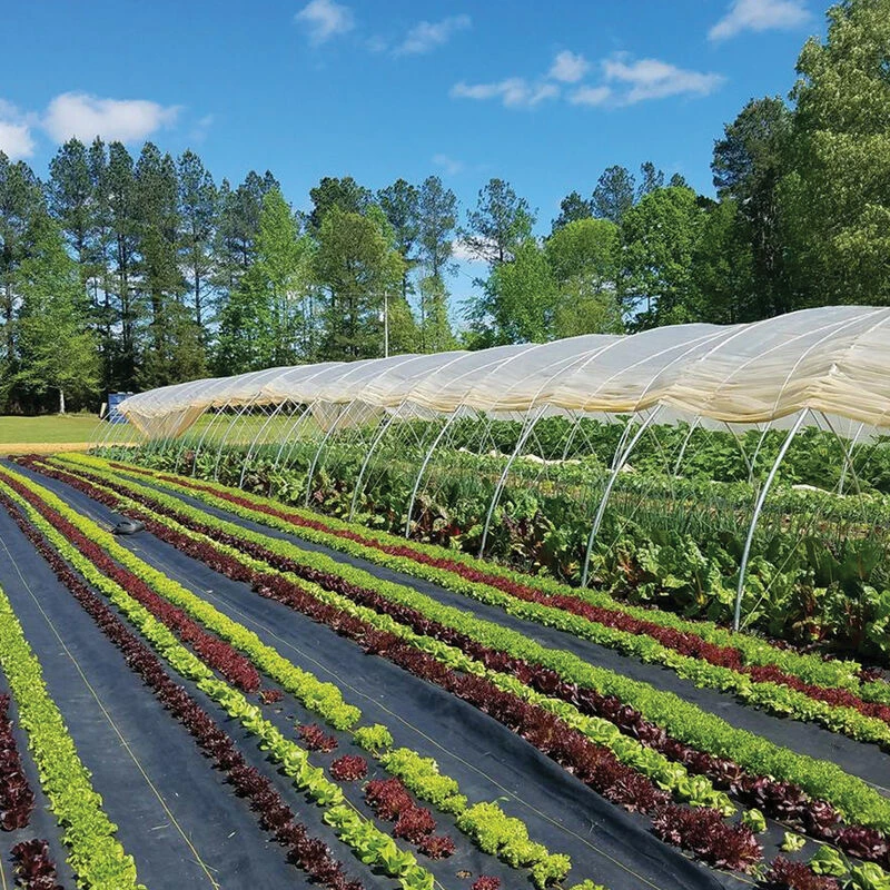 Sunbelt Black Ground Cover – 4' X 100'