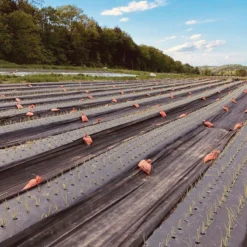 Black Weed Fabric – 4' X 1,640'