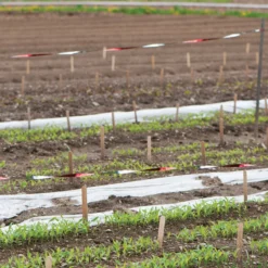 Bird Scare Flash Tape