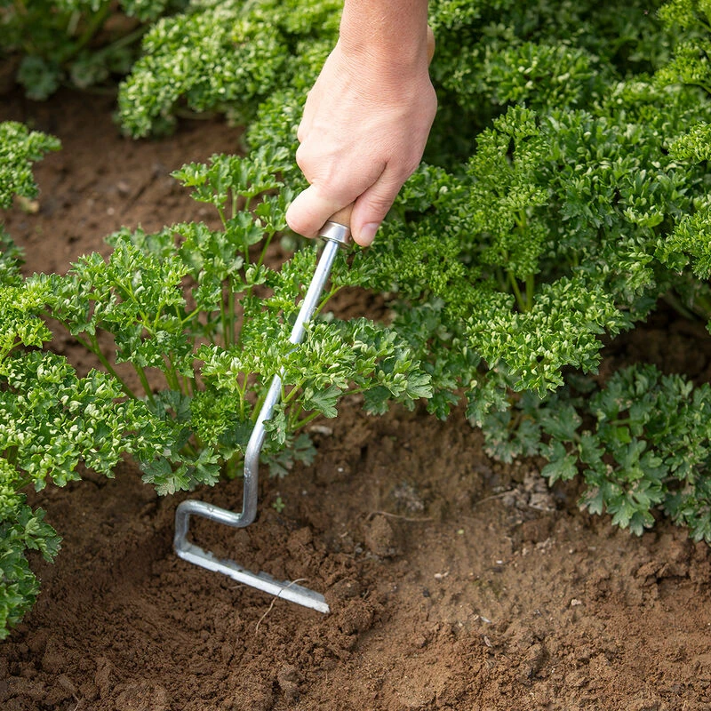 Wire Weeder - Image 2