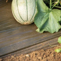 Solar Mulch – 4' X 50'